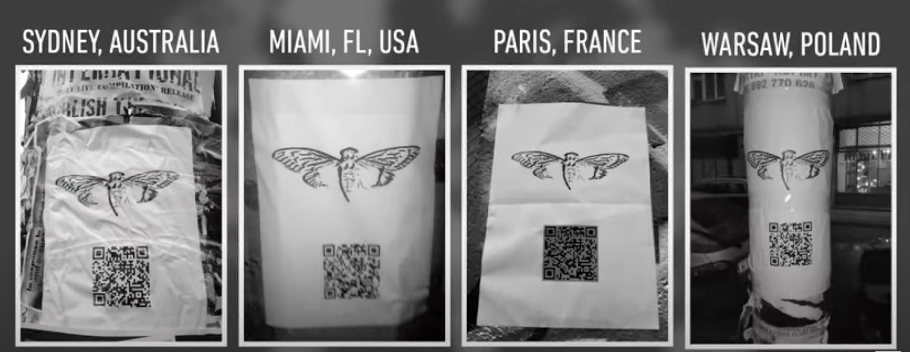 cicada qr code image