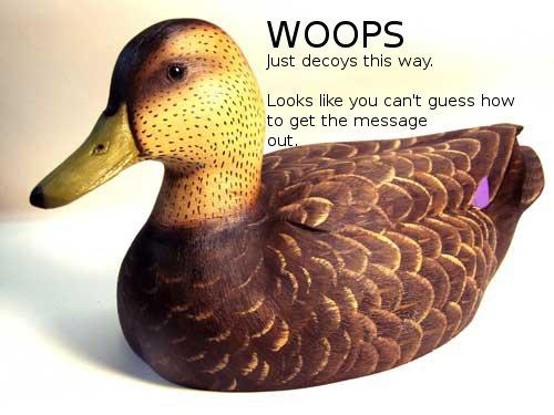 cicada 3301 woops duck image